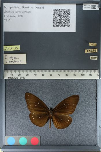 Media type: image;   Entomology 160970